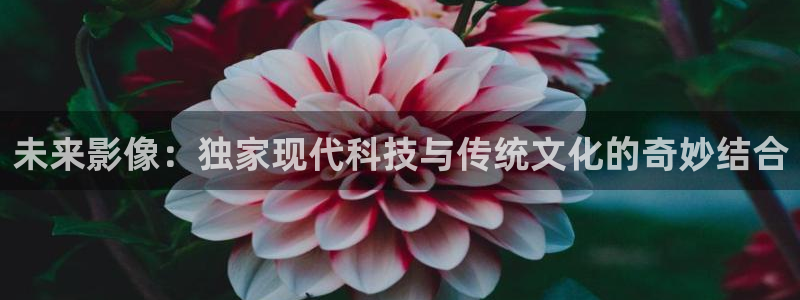 6080新觉伦午夜电影院琪琪：未来影像：独家现代科技与传统文化的奇妙结合