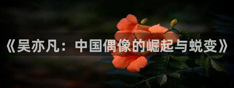 琪琪综合色影院：《吴亦凡：中国偶像的崛起与蜕变》